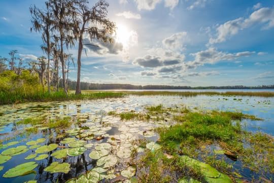 things to do in orlando besides theme parks- glamping at lake louisa state park