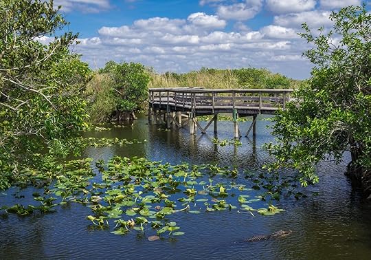 everglades national park boardwalk