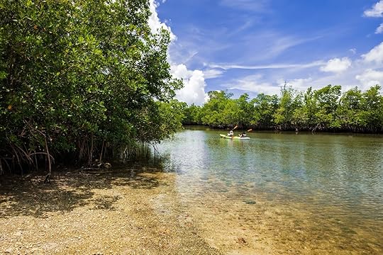 Scenic view of kayakers enjoying the mangrove swamp along the bay in Oleta River State Park in North Miami Beach., parks in Miami