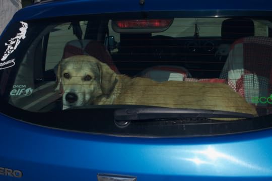 Sebastien looking out of the rear window of the car.