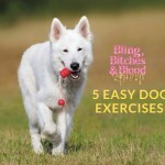 dog fitness