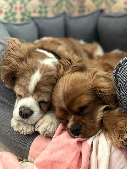 thesimplyluxuriouslife.com | The Simply Luxurious Life