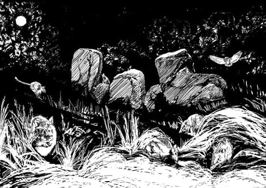 What is the normal number of animals? A visit to the Rothwell Sanctuary