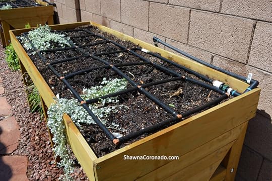 Irrigation-grid-in-elevated-bed-ready-to-go