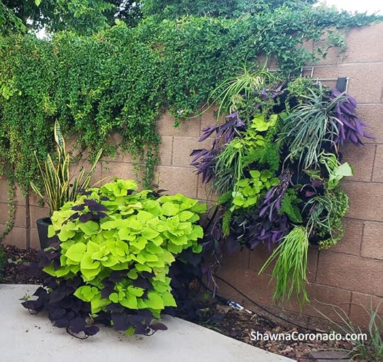 Living-Wall-in-garden