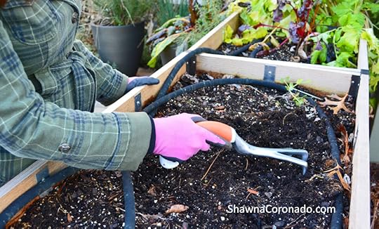 Short-handled-garden-tool-with-handshake-grip