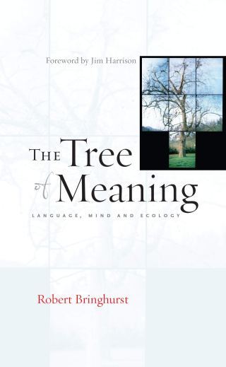 Saying the Ineffable: Poetry and the Language of Silence