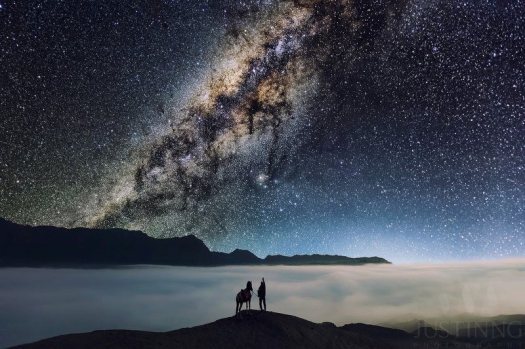 The Hanging Road, the path in the sky the owls follow from the world to the Camp of the Dead