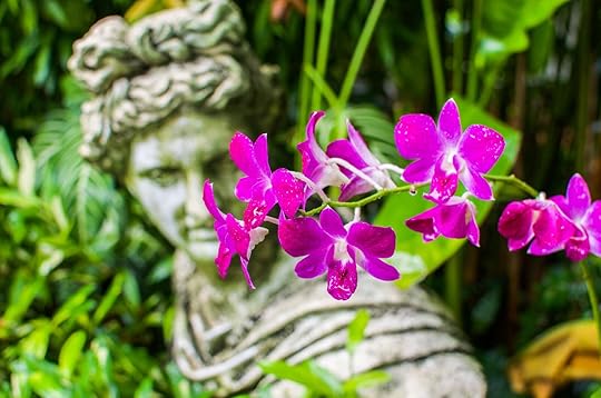 orchids at one of the best parks in singapore - botanical garden