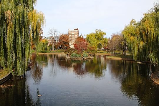 Frog bond at boston common, one of the best parks in boston MA