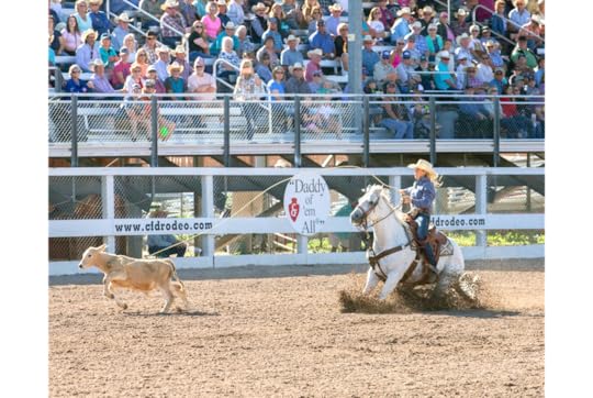 roping cattle at cheyenne frontier days