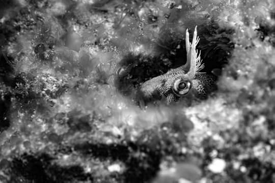 Why nature makes patterns and its extraordinary complexity