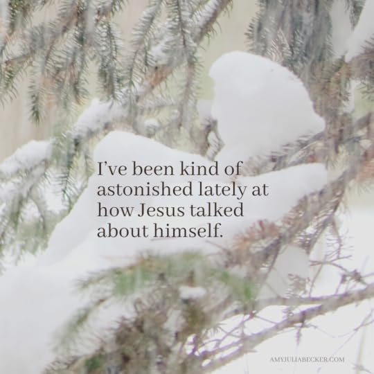 photo of spruce branches covered in snow with text overlay that says: I've been kind of astonished lately at how Jesus talked about himself.
