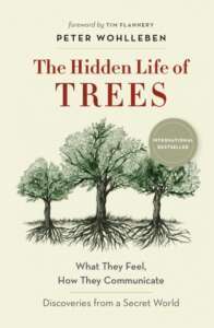 'The Hidden Life of Trees' by Peter Wohlleben