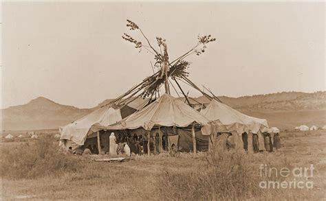 Cheyenne Sun Dance Lodge Photograph | Indigenous peoples of the ...