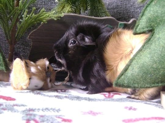 Rachel E Smith guinea pig Hen Wen