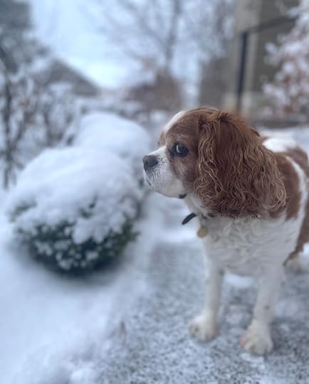 thesimplyluxuriouslife.com | The Simply Luxurious Life