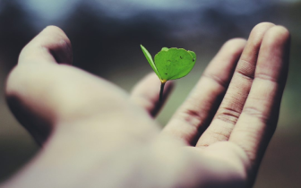 Life giving