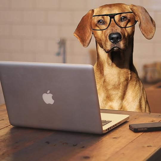 track your writing