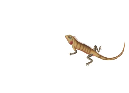 A yellow, red, and blue painted lizard. It resembles a small iguana.