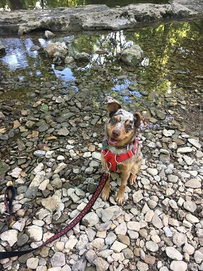 One-year anniversary - Olcott Park