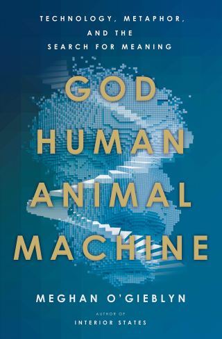 God, Human, Animal, Machine: Consciousness and Our Search for Meaning in the Age of Artificial Intelligence