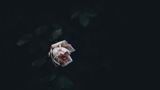 Sit at the Feet of Loss