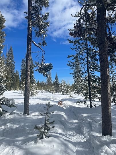 thesimplyluxuriouslife.com | The Simply Luxurious Life