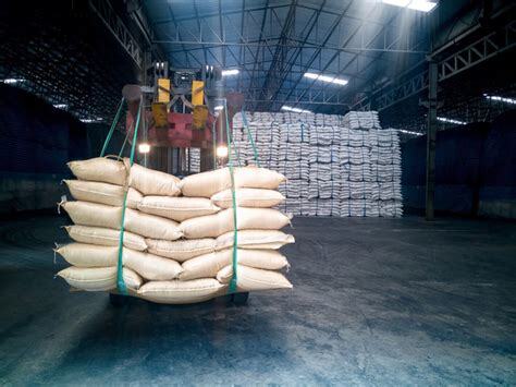 World food prices fall for 11th month running in February: UN Food ...
