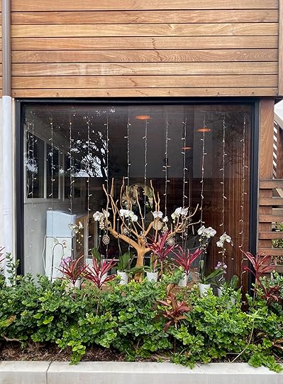 Window display with lights, plants in foreground, Inn at Moonlight Beach, Encinitas, CA