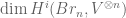 \dim H^i(Br_n, V^{\otimes n})