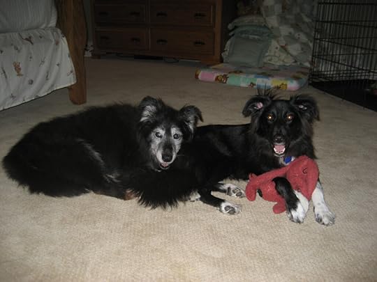 best friends Jasmine and Anna