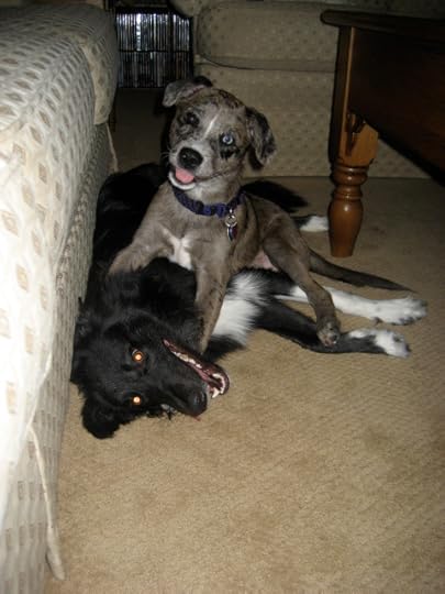 best friends Anna and Karlie