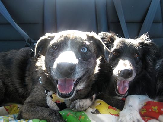 Best Friends Anna and Karlie