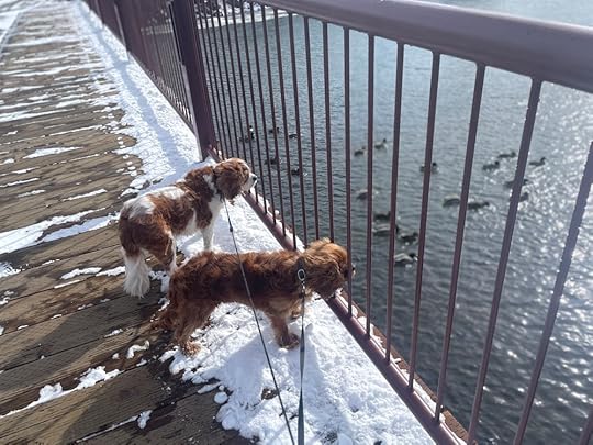 thesimplyluxuriouslife.com | The Simply Luxurious Life