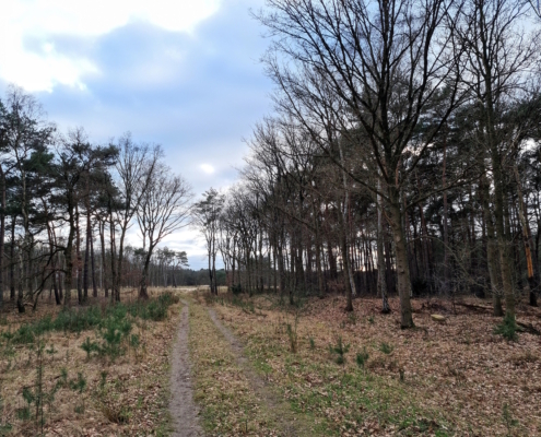 Vrijdagmiddag Wandeling