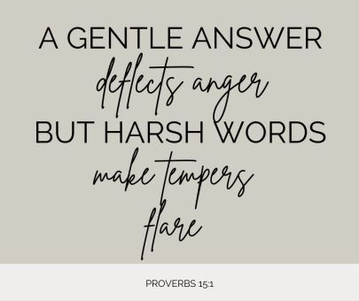 a gentle answer deflects anger but harsh words make tempers flare. proverbs 15:1