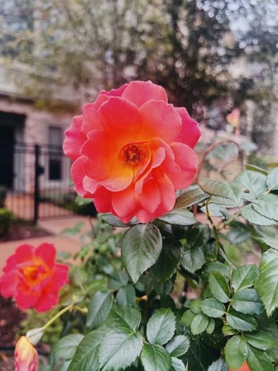 Let It Be Sunday, 408! 