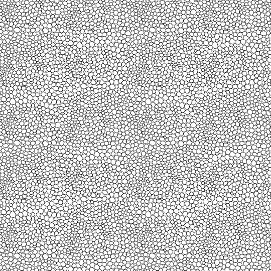 Fantasy Garden Fabric Collection by Anna Nyman for Contempo Fabrics Now Available at ShopNZP.com