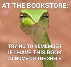 This contains an image of: 10 Memes That Nail What It's Like To Be A Bookworm — Kristy Nicolle