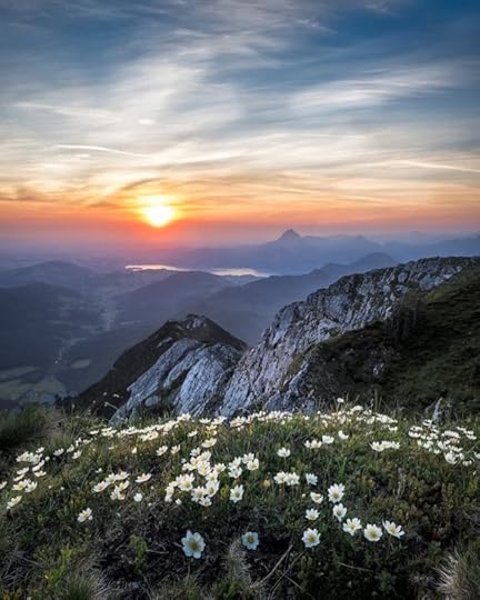 Landscape by Simon Berger