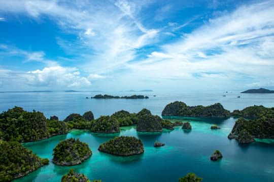 Raja Ampat Trip Report February 2023