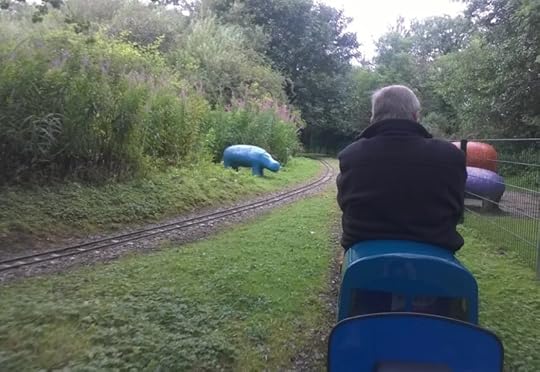 view from the miniature railway