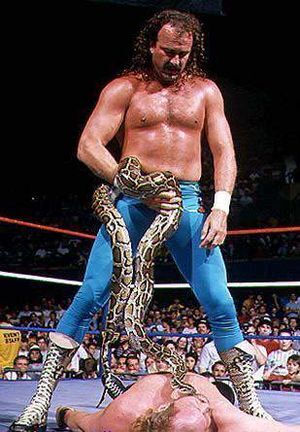 300px-Jake-The-Snake-Roberts