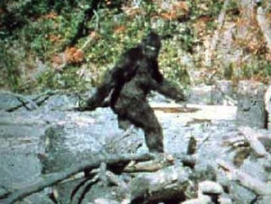 bigfoot-390x294