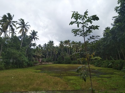 மாடக்குளம் இன்று