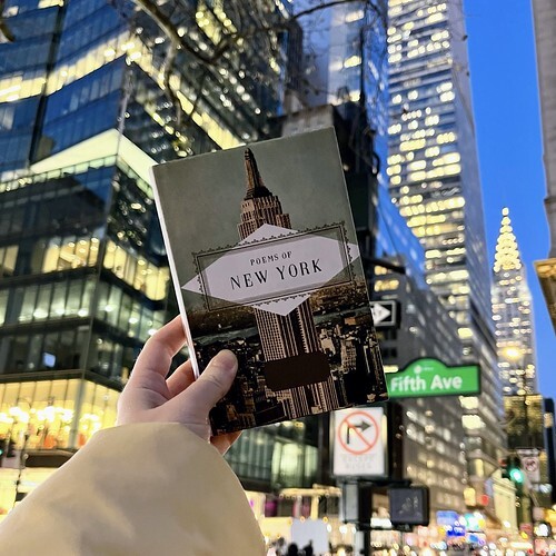 Poems of New York by Elizabeth Schmidt
