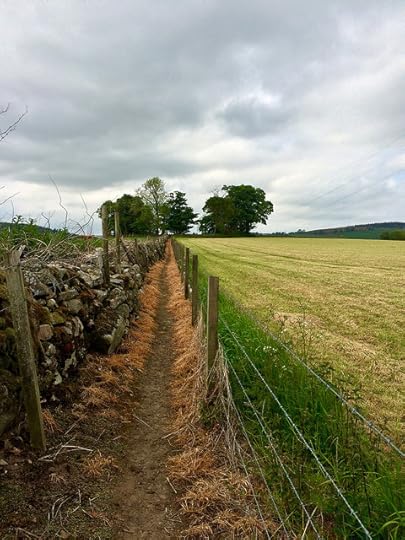path to Sunhoney, further on from Drum Castle