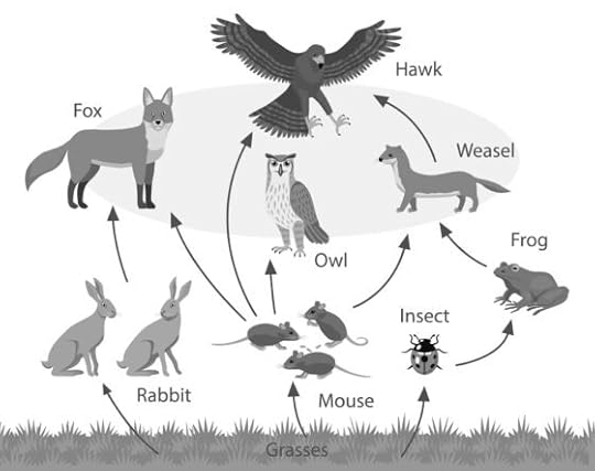 Are ecosystems regulated top down or bottom up?