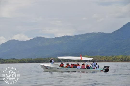 small boat with canopy full of tourist on a whale watch tour